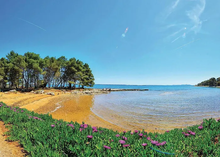 Apartamento Gorgeous In With Wifi Vir